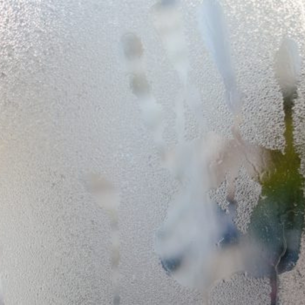 Condensation dans les habitations bien isolées : un problème sous-estimé