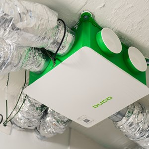 The Upside - Hasselt