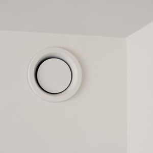 The Upside - Hasselt