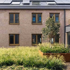 The Upside - Hasselt