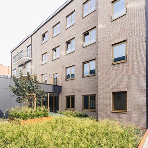 The Upside - Hasselt